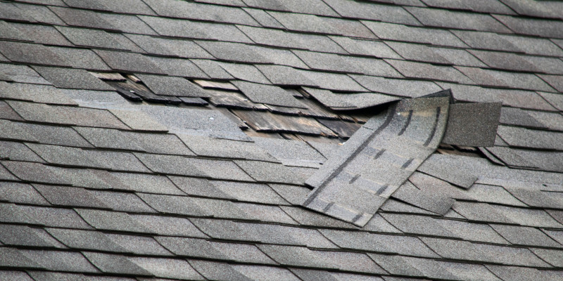What to Do if You Need Roof Repair