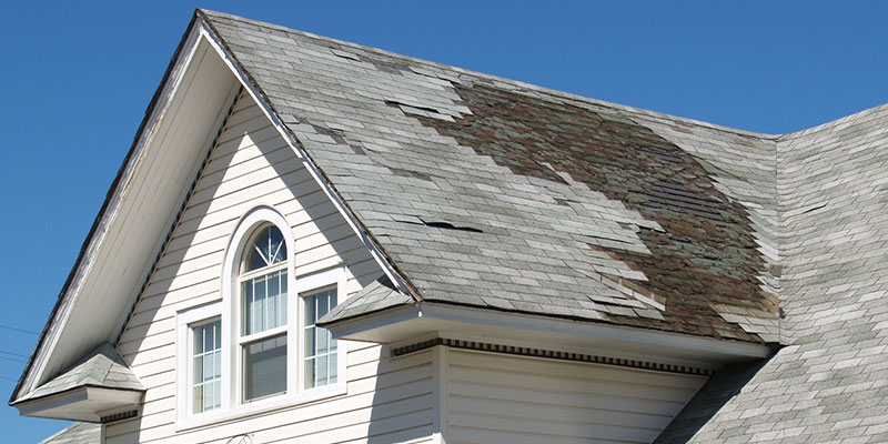 embark on a do-it-yourself scheme for your storm damage repair